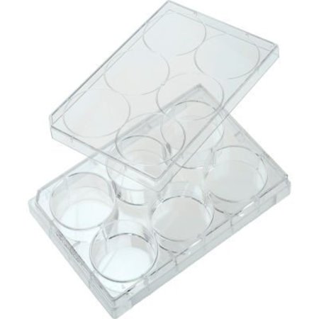 CELLTREAT SCIENTIFIC PRODUCTS CELLTREAT 6 Well Non-treated Plate with Lid, Individual, Sterile, 100/PK 229506